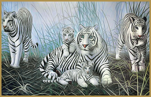 white tigers and cubs