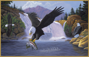 bald eagles