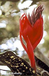 Experience intimate views of the natural world!